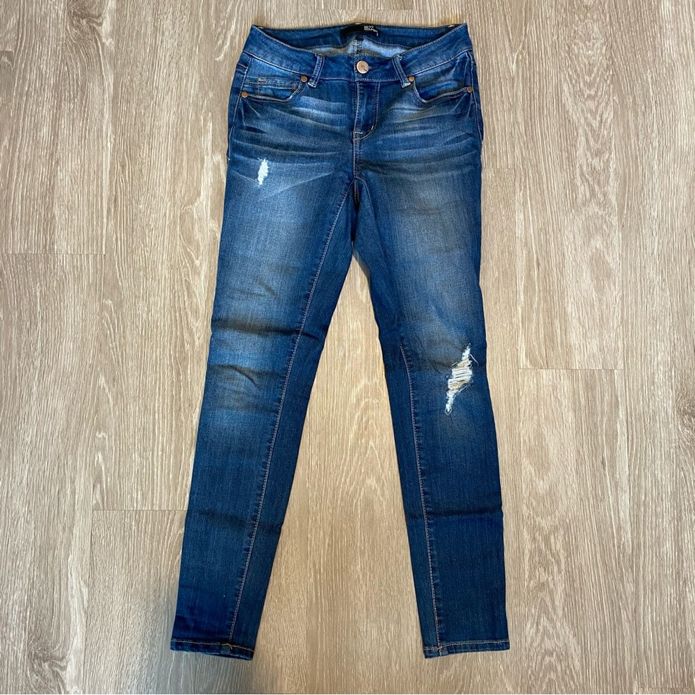 1822 Denim Slightly Distressed Skinny Jeans, 26, Blue